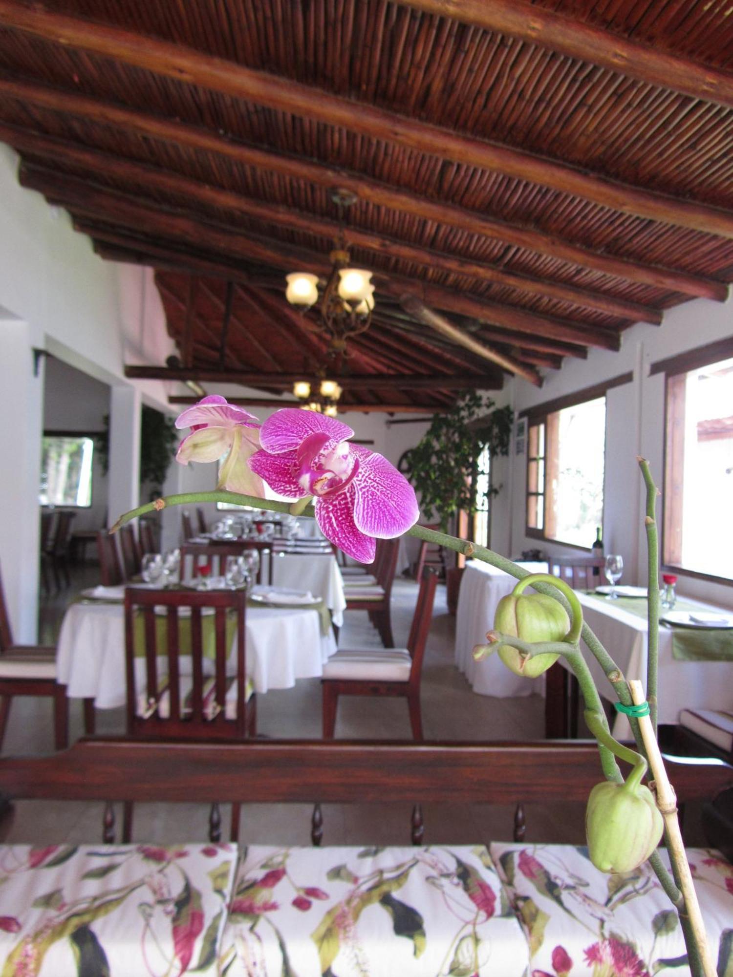 Hotel La Quinta San Andrés Ibarra Exterior foto